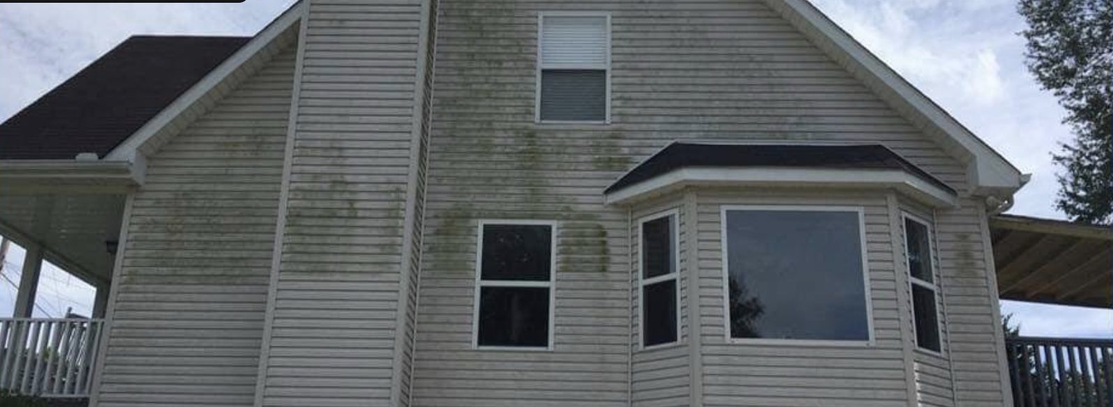 Home siding covered in green algae streaks before soft washing